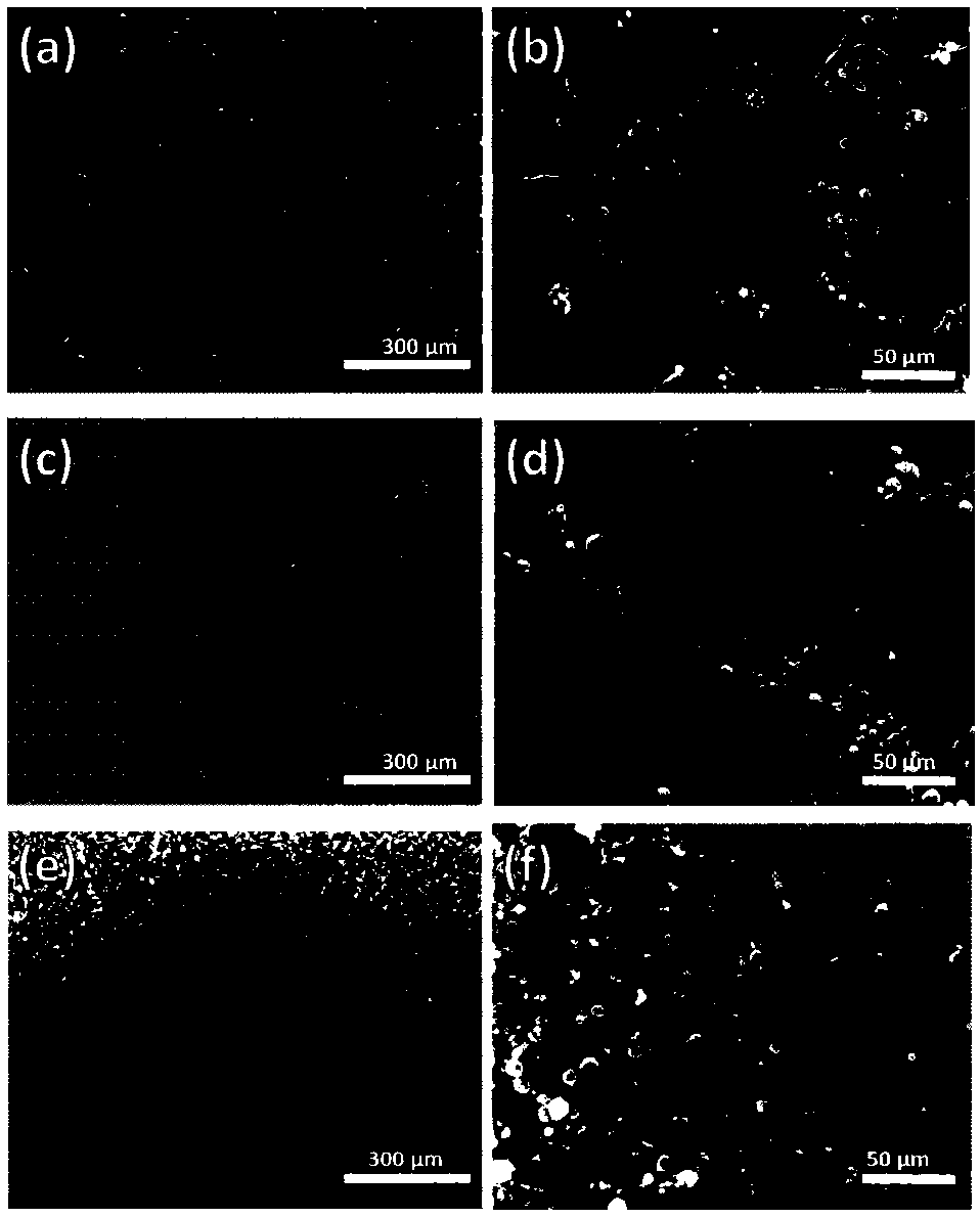 A kind of preparation method of nanocellulose airgel microsphere coated filter paper