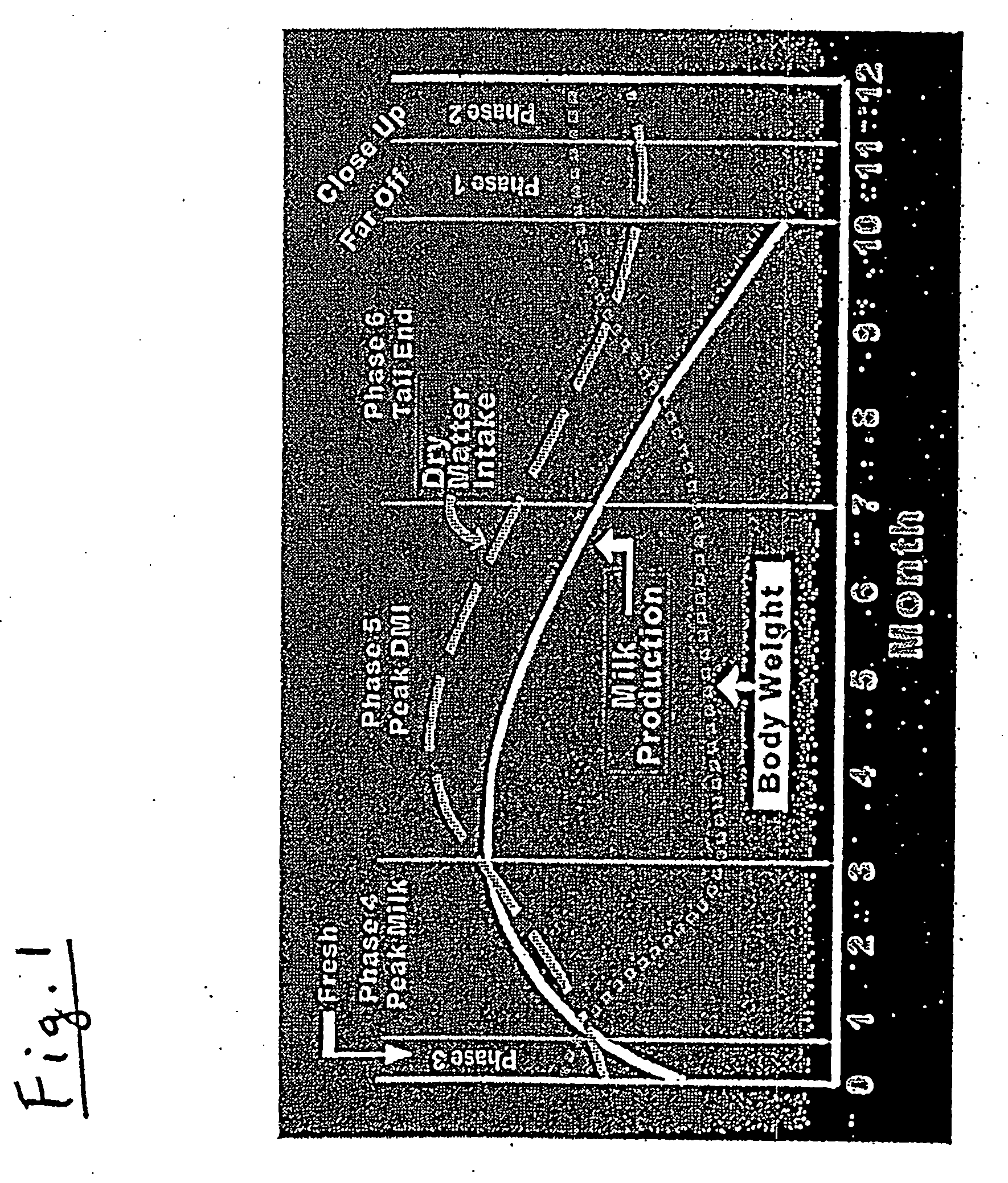 Feed delivery system for enhancing ruminant animal nutrition