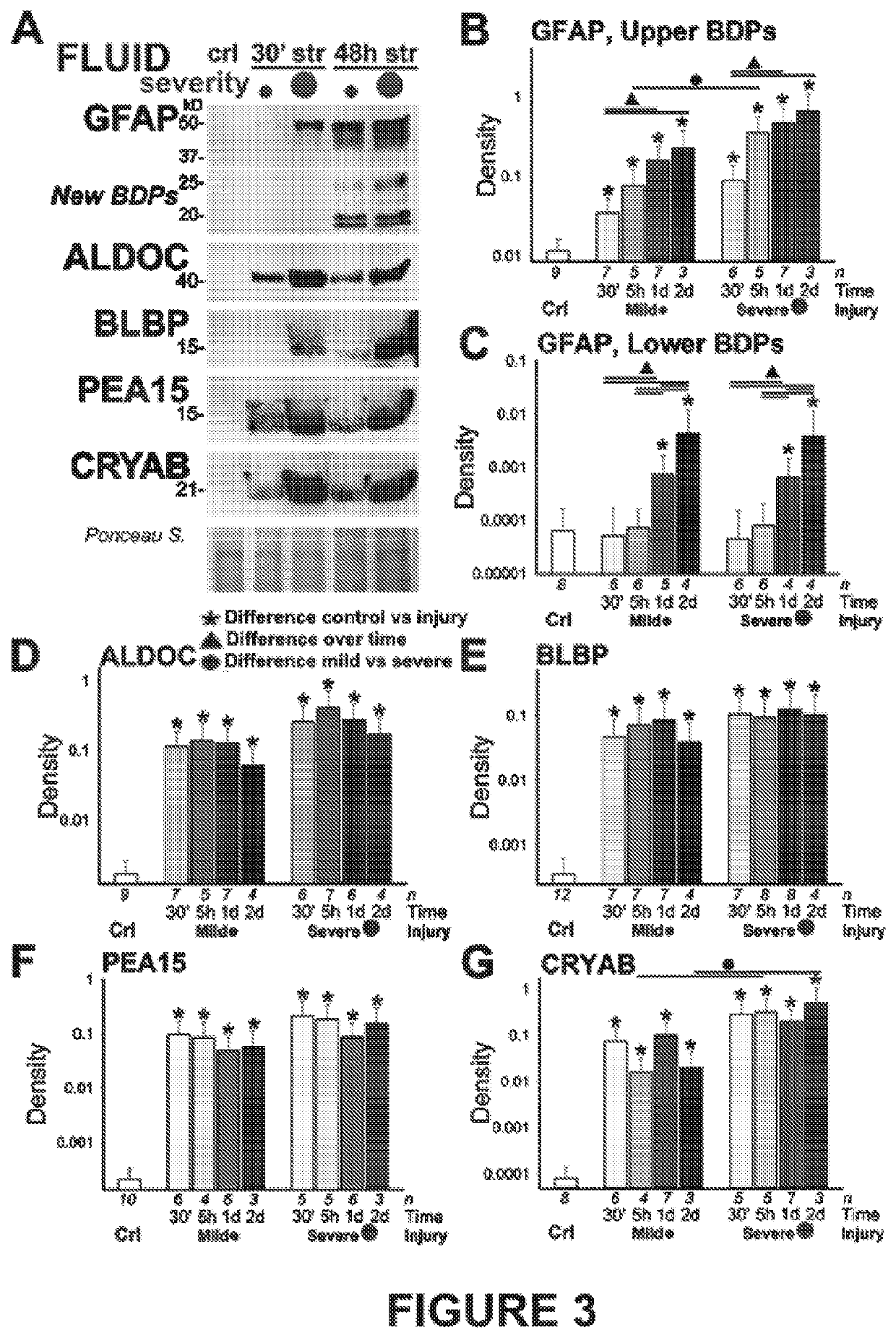 Astrocyte traumatome and neurotrauma biomarkers