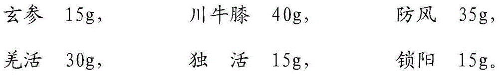 Externally-applied traditional Chinese medicine composition for treating rheumatism and administration mode thereof