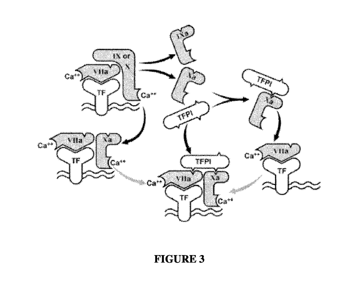 Tfpi inhibitors and methods of use