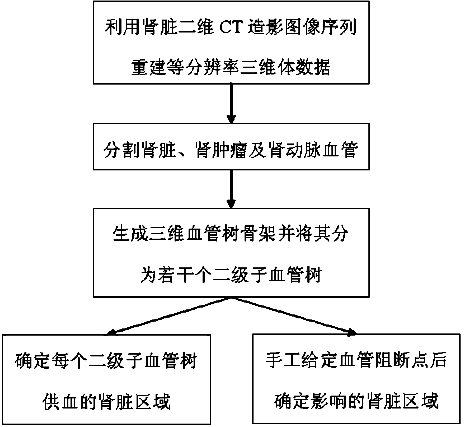 Renal artery blood-supply area segmenting method based on CT contrastographic picture