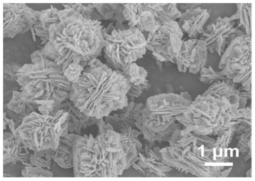 Zinc oxide/carbon quantum dot composite photocatalyst, preparation method and application thereof