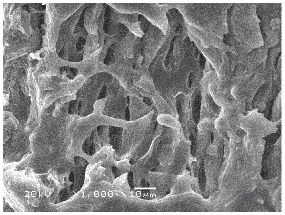 A kind of solid polymer electrolyte porous membrane membrane liquid and membrane-making method thereof