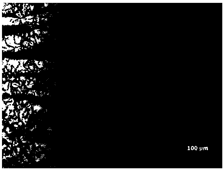 Ultrathick normalizing high-intensity pressure container steel plate and production method thereof