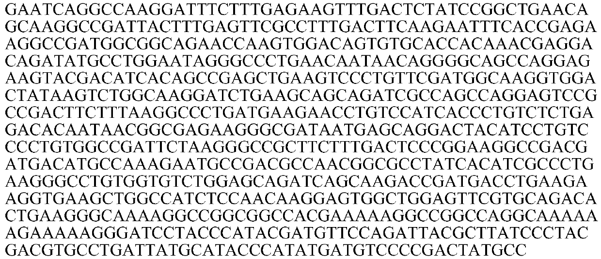 Beta-thalassemia genotyping method