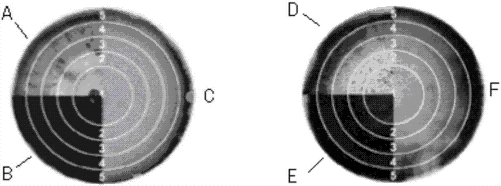 Aspergillus niger strain for protein producing and application thereof