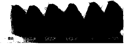 Anti-allergic hair dye and preparation method thereof