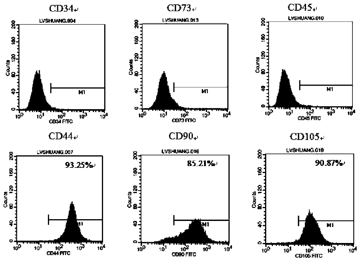 Application of miR-27 or analog thereof to in vitro restraining of differentiation of mesenchymal stem cells to hypertrophic chondrocyte