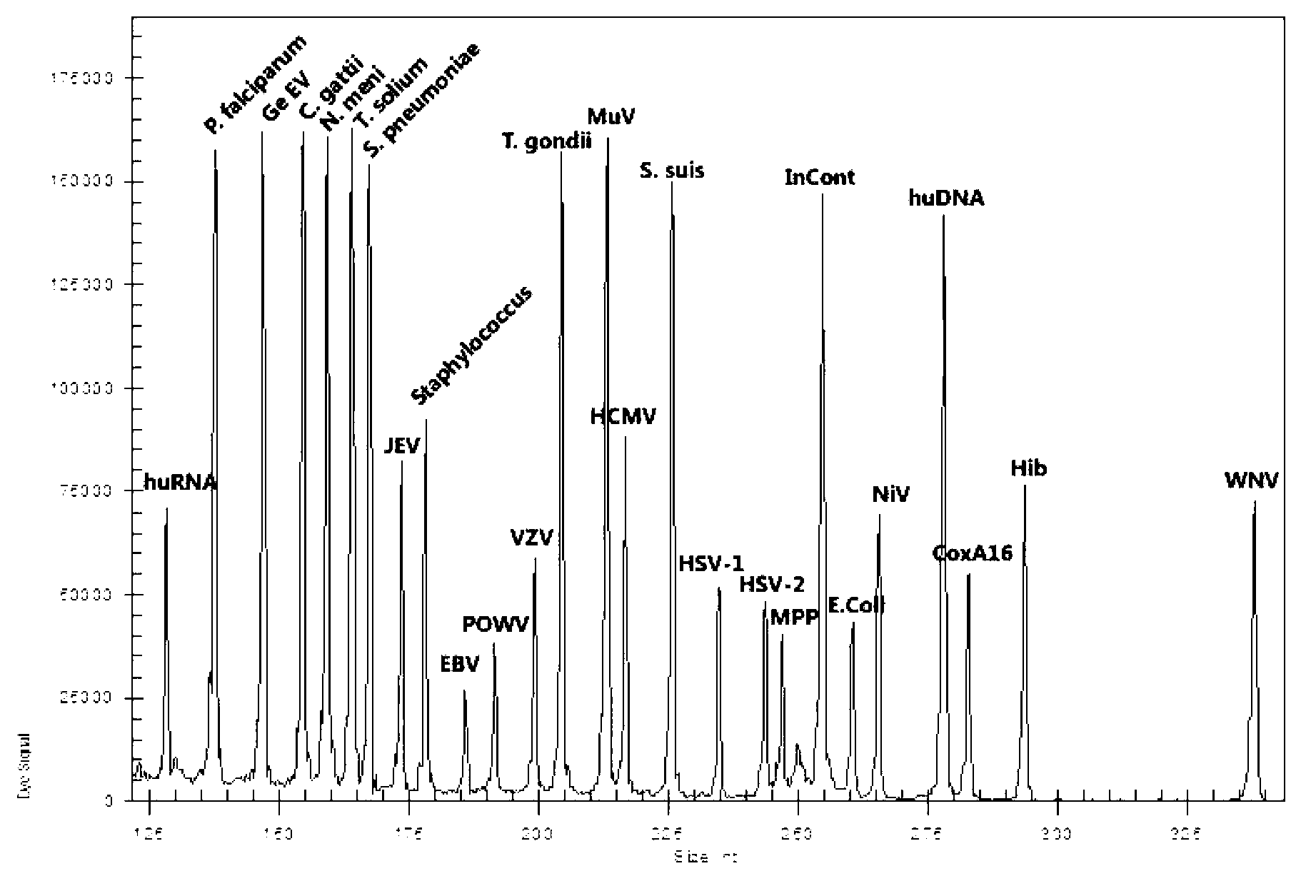 Kit for synchronously detecting twenty-three meningitis pathogens and detection method of kit