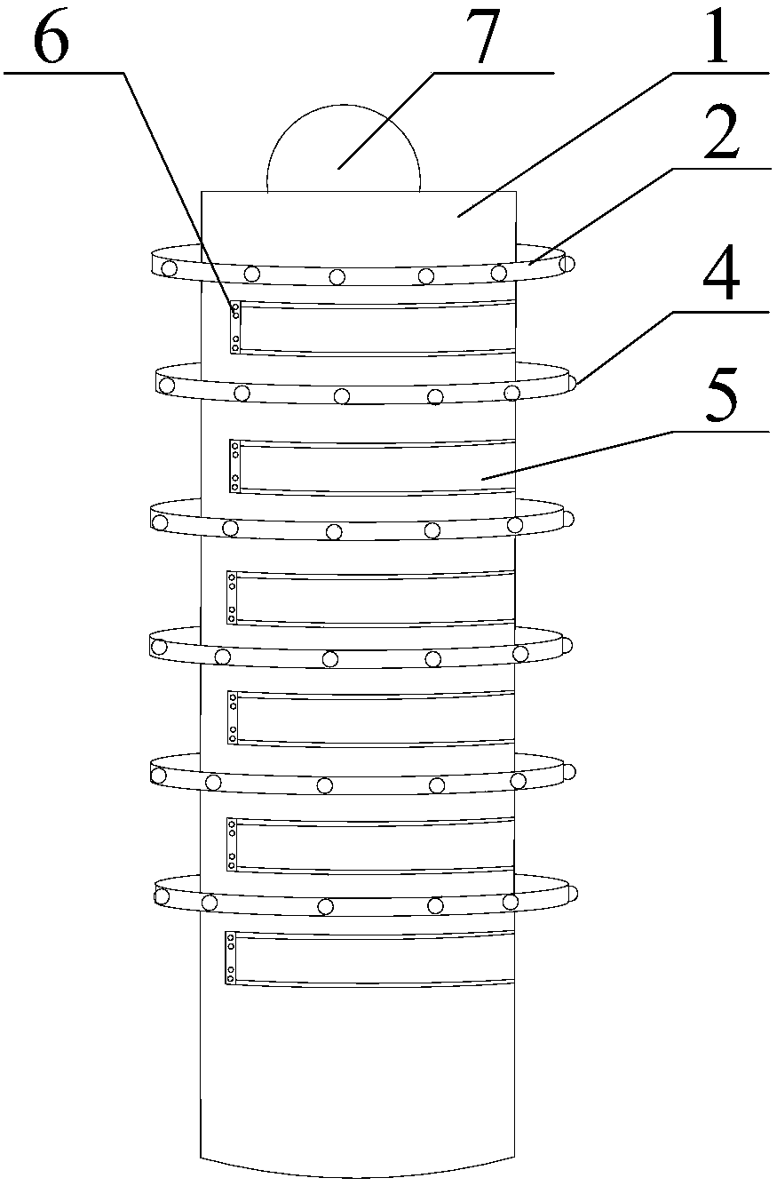 Large-capacity multifunctional clothes and cap support device