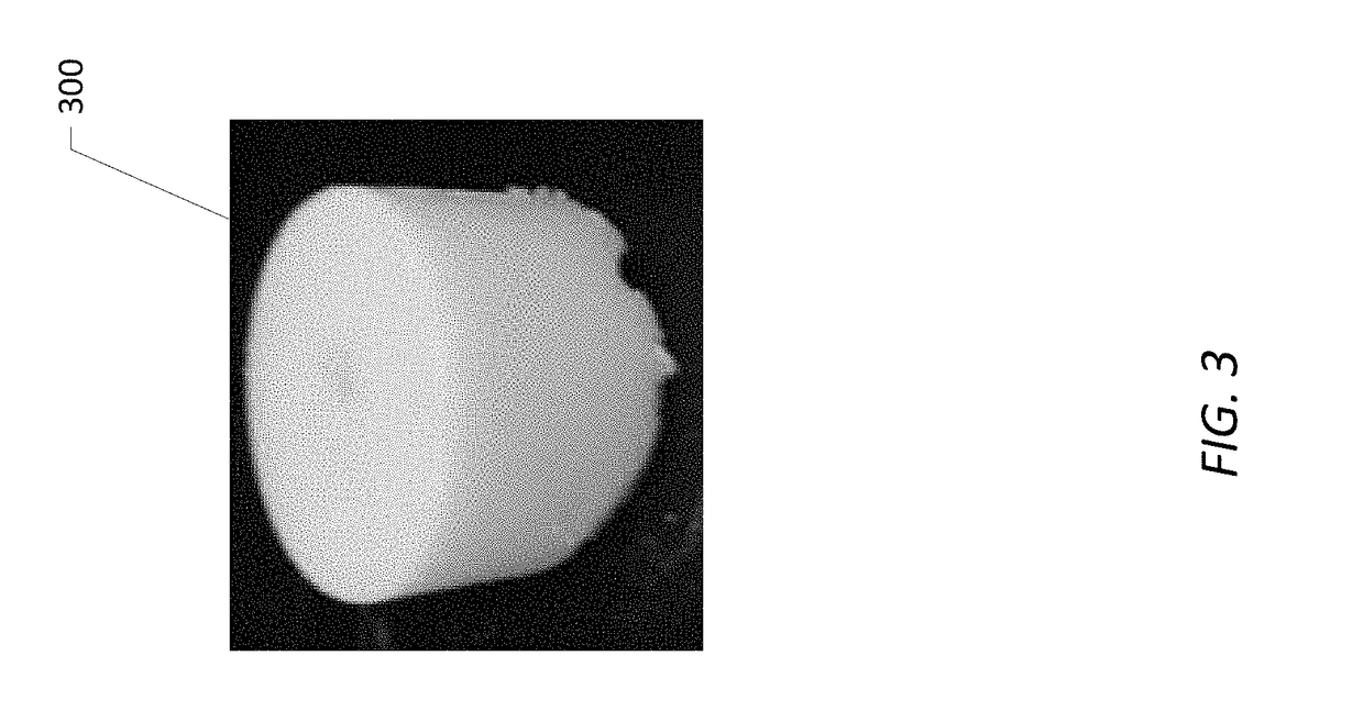 Nanosilica dispersion lost circulation material (LCM)