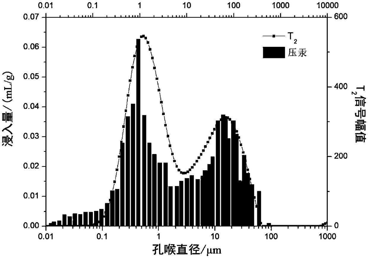 Nuclear magnetic resonance experiment device and method for multi-phase fluid flow characteristic in dense core porous media