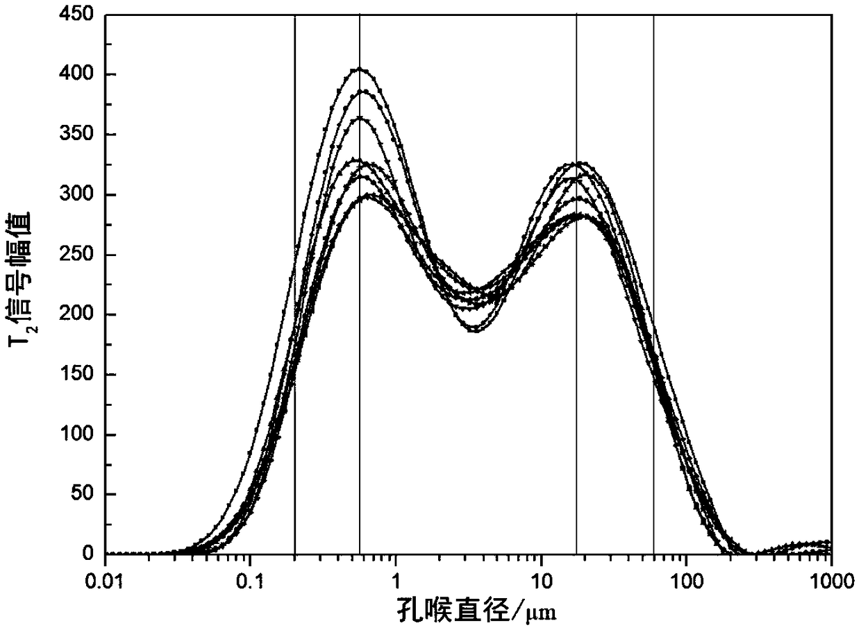 Nuclear magnetic resonance experiment device and method for multi-phase fluid flow characteristic in dense core porous media