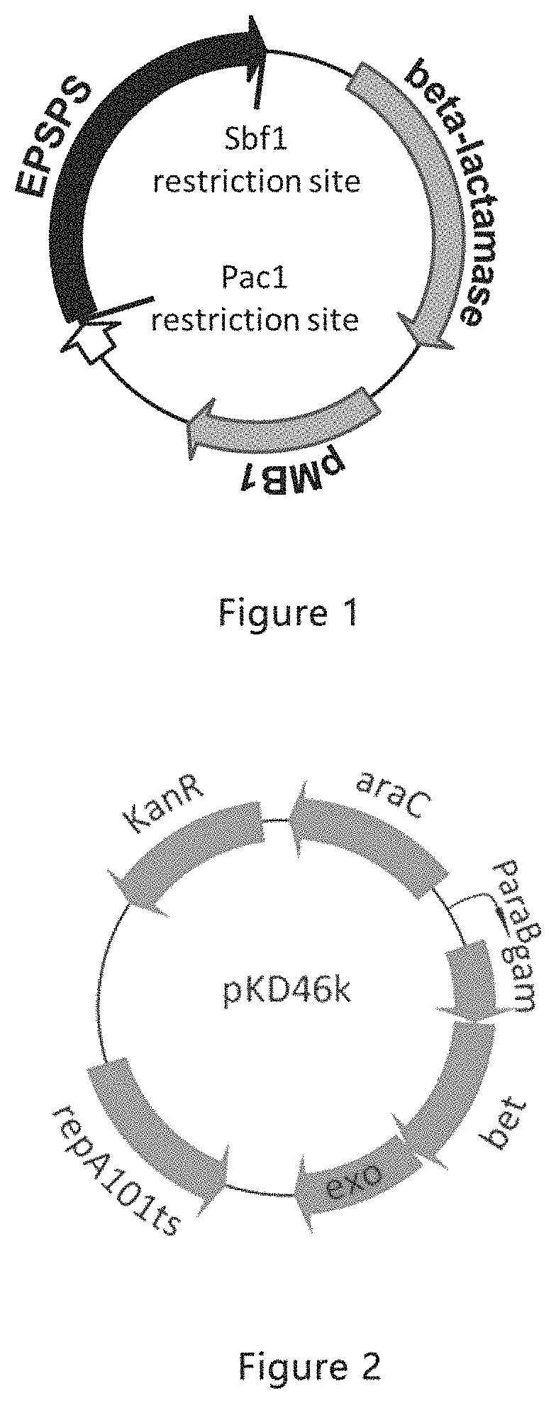 Glyphosate-resistant gene screening method, EPSPS mutant gene and deficient strain and use