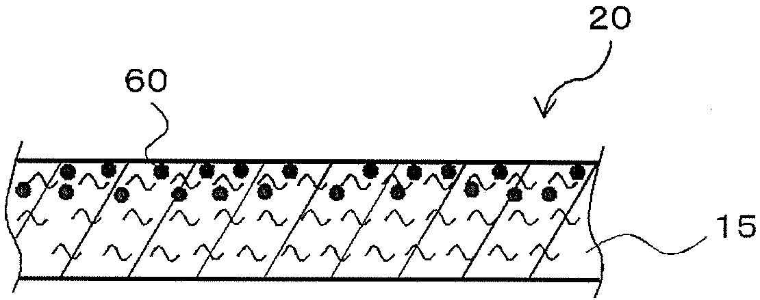 Ion scavenger for lithium ion secondary cell, liquid electrolyte, separator, and lithium ion secondary cell