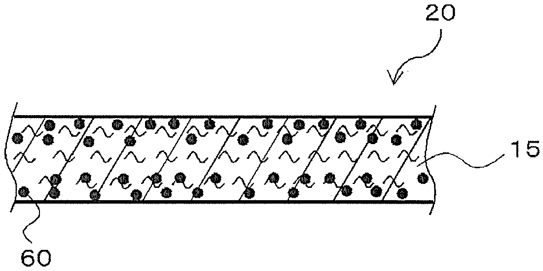 Ion scavenger for lithium ion secondary cell, liquid electrolyte, separator, and lithium ion secondary cell