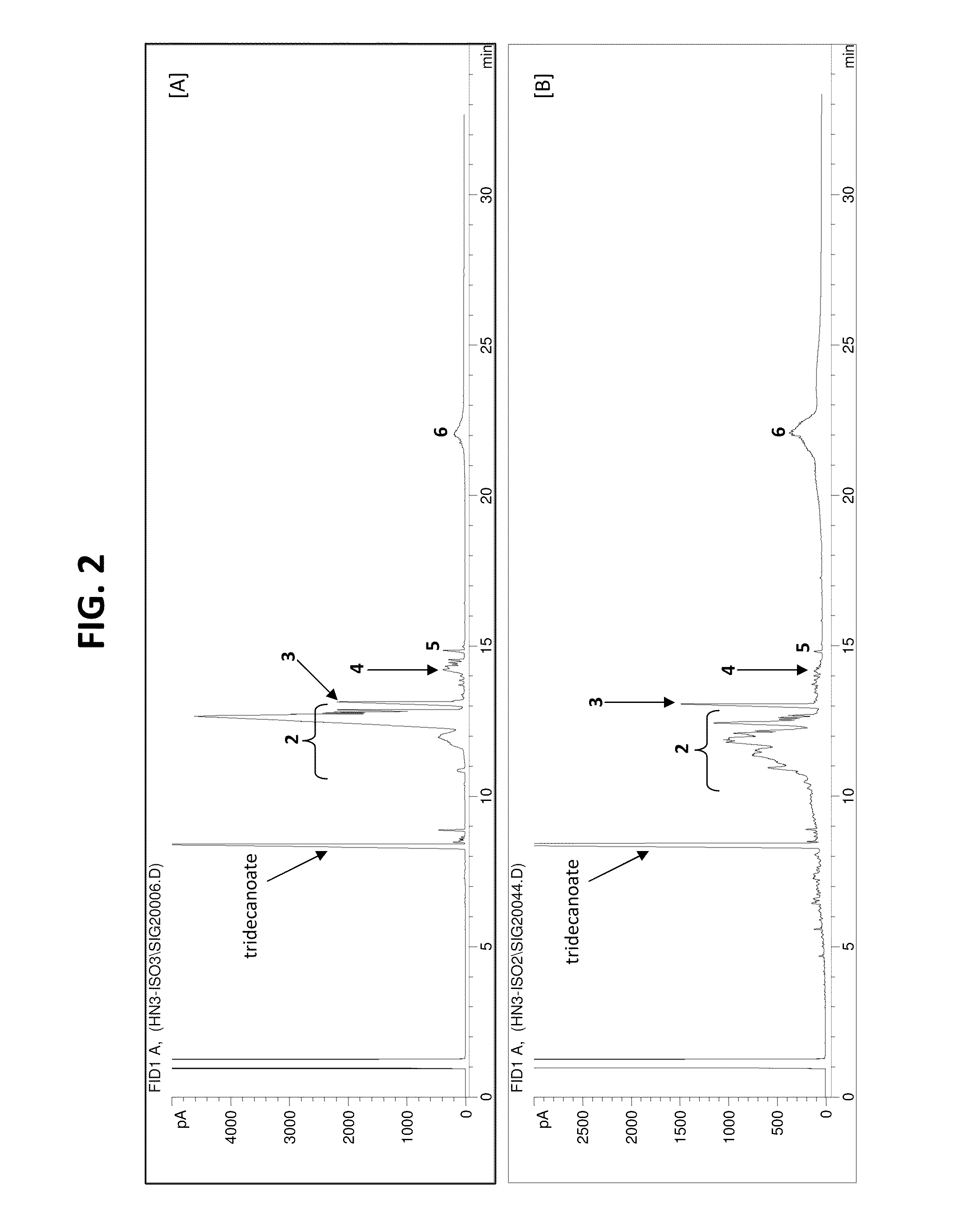 Process for Preparing Saturated Branched Chain Fatty Acids