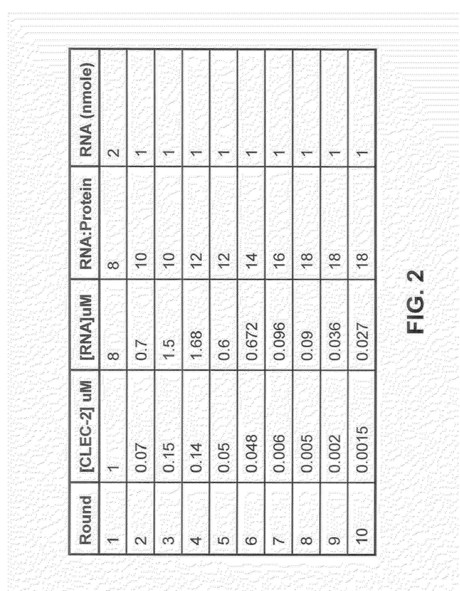 Nucleic acid modulators of clec-2