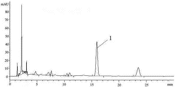 Novel preparation technology of rabdosia rubescens tablet