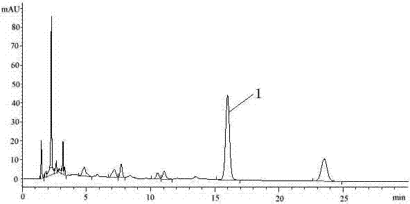 Novel preparation technology of rabdosia rubescens tablet