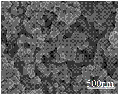 Preparation method of vanadium nitride electrocatalyst and product