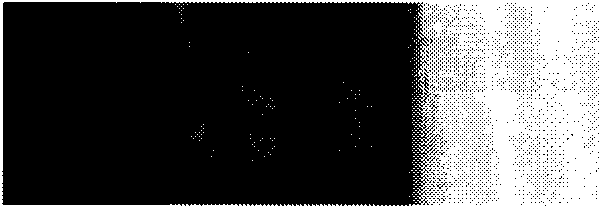 Method for quickly immobilizing proteins or amino-contained molecules on aminated surface