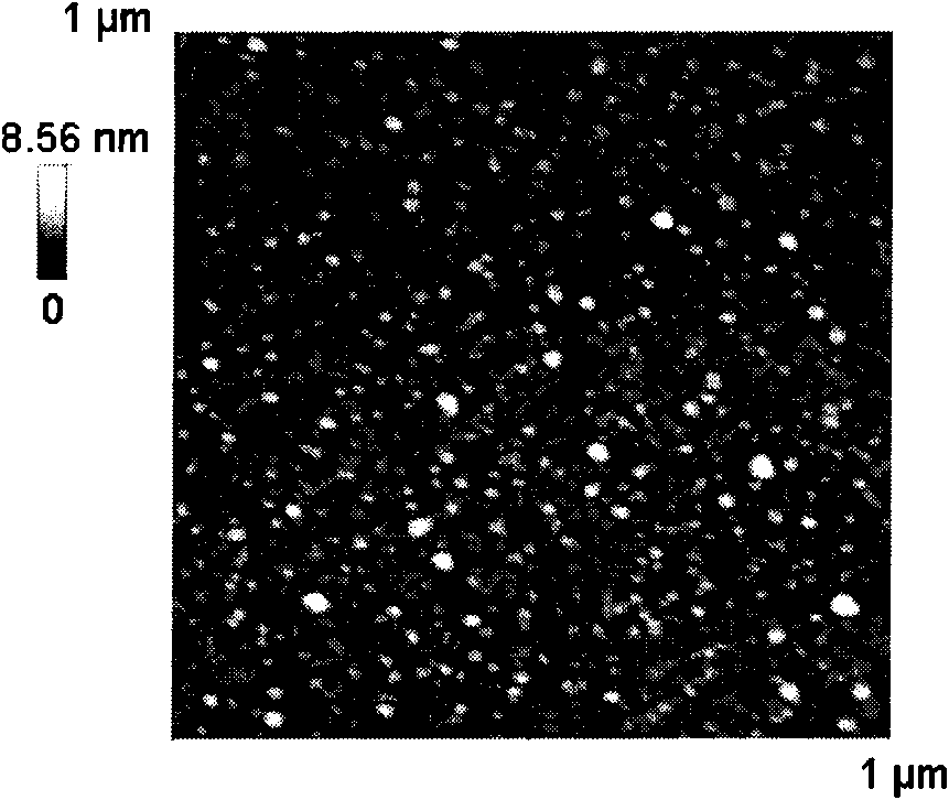 Method for quickly immobilizing proteins or amino-contained molecules on aminated surface