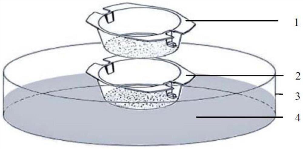 Fish high-fat storage hepatocyte separation and culture method