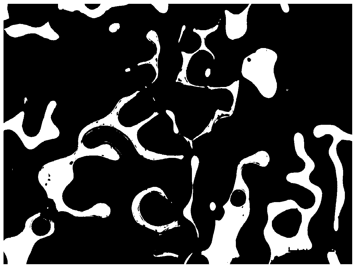 a porous b  <sub>4</sub> cCeramic skeleton and its frozen injection molding process