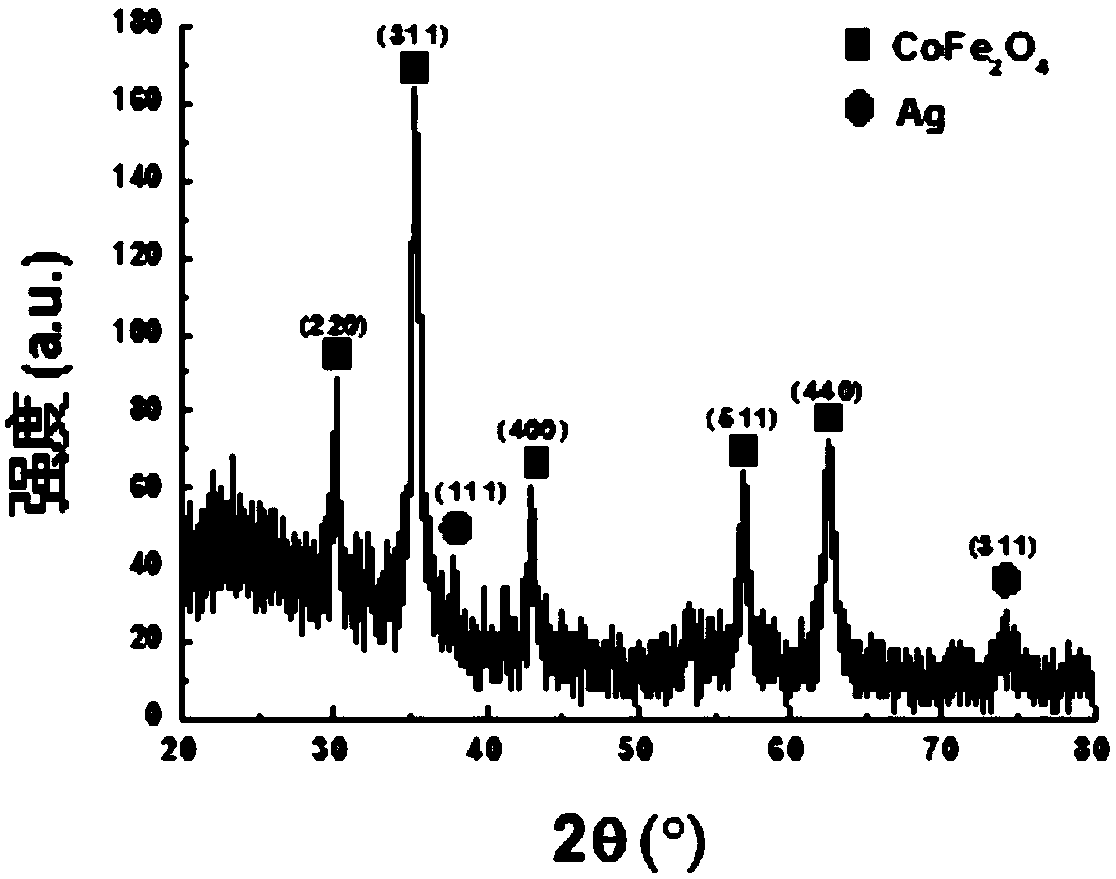 Preparation method and application of conductive imprinting Ag@PANI/CoFe2O4/C