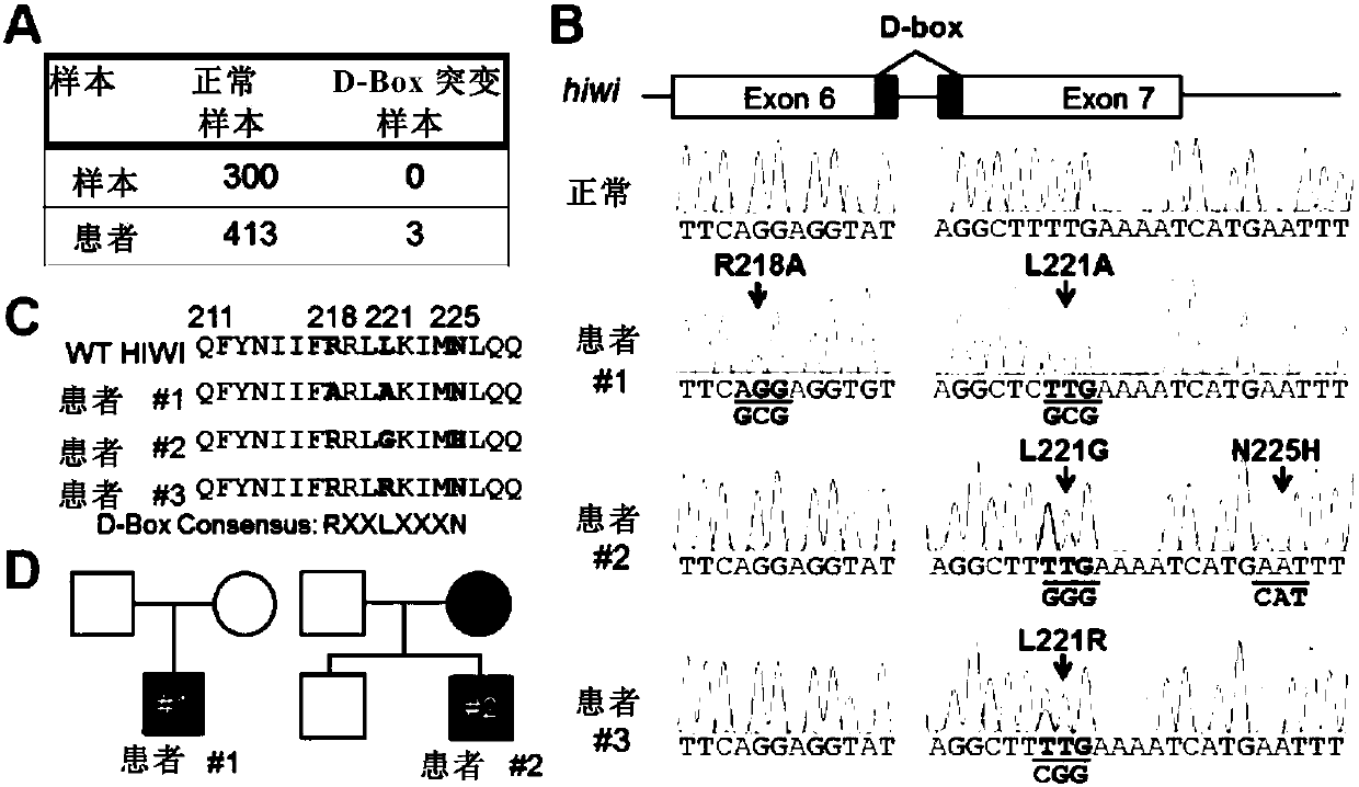 Method and kit for diagnosing male infertility caused by Piwil1 gene mutation