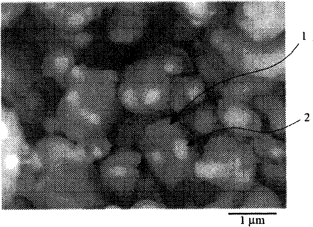 Coated fine metal particle and process for producing the same