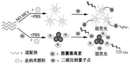 A method for measuring microcystin concentration