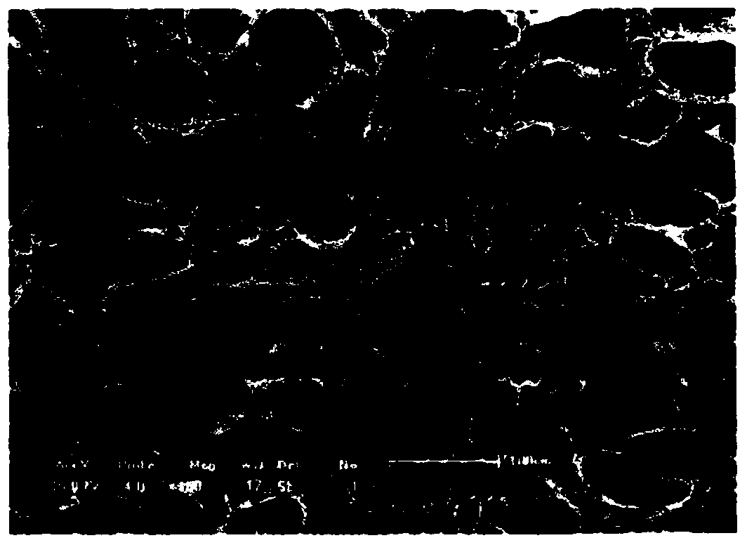 Composite multifunctional biological hemostatic material and preparation method thereof