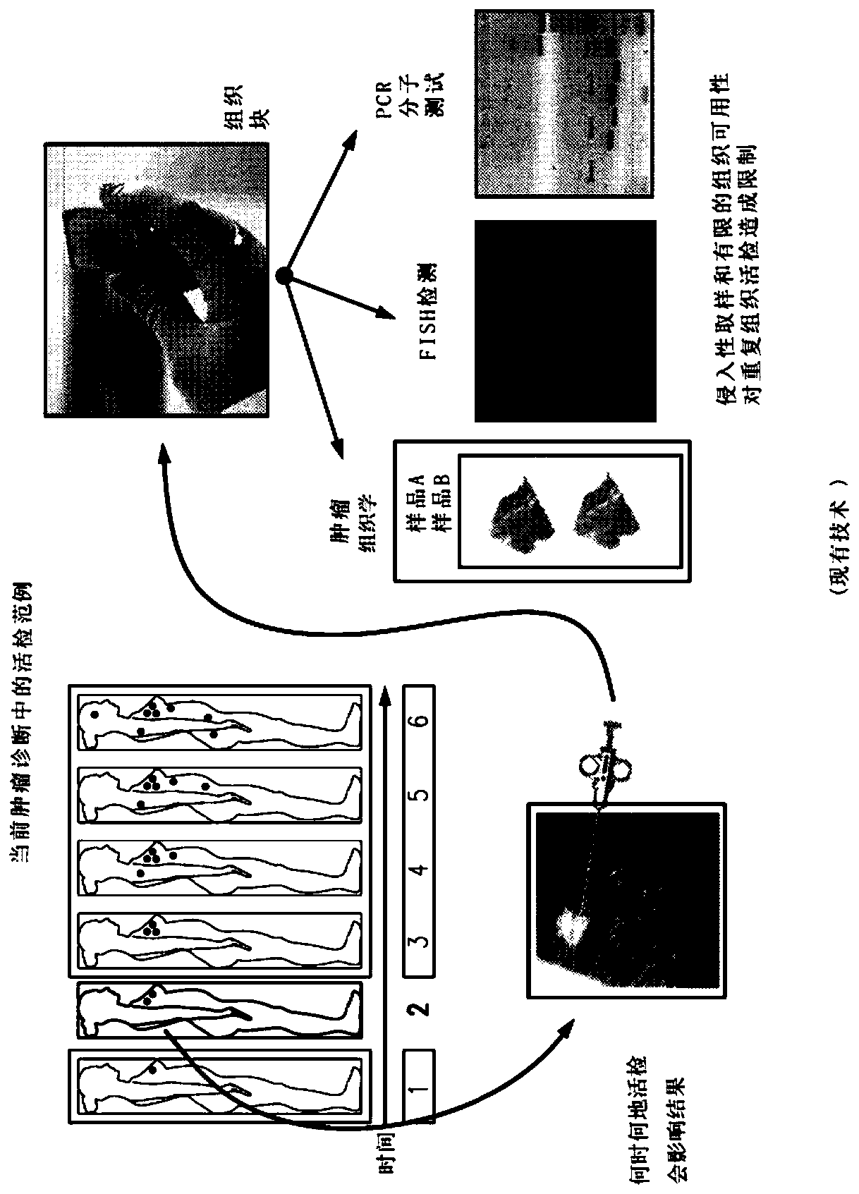 Quantitative liquid biopsy diagnostic system and methods