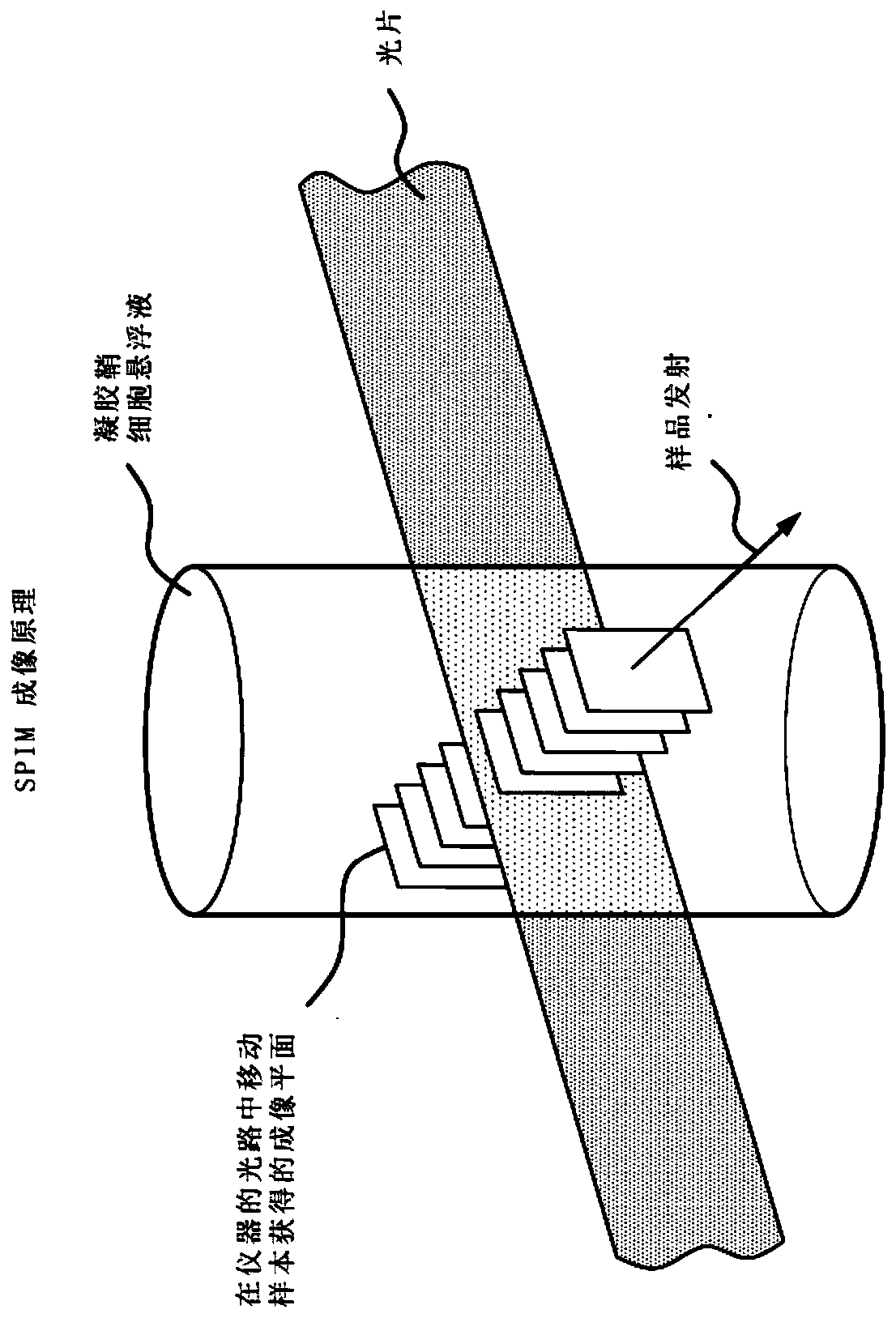 Quantitative liquid biopsy diagnostic system and methods