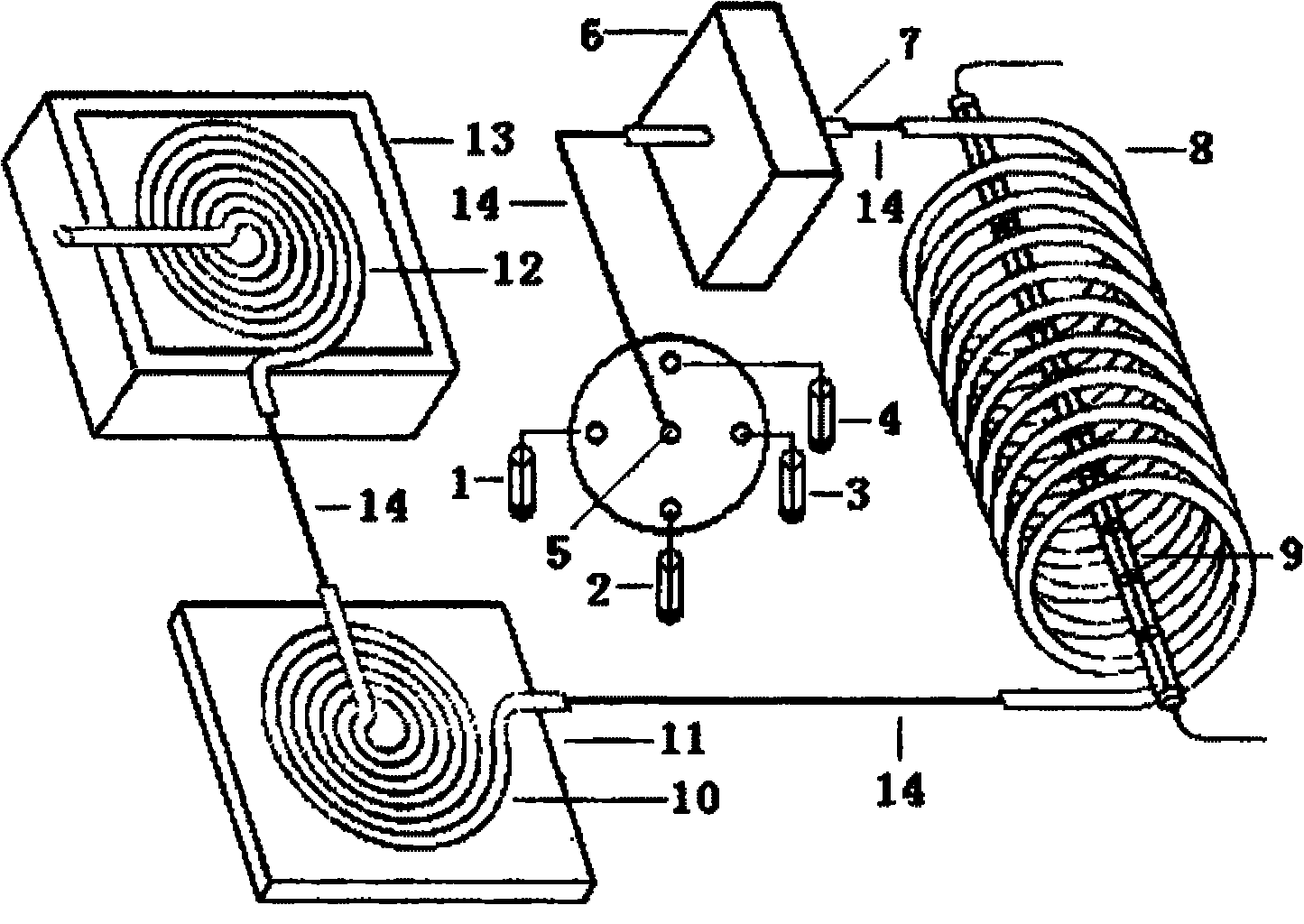 Fast chemiluminescence immune detection system and analysis method