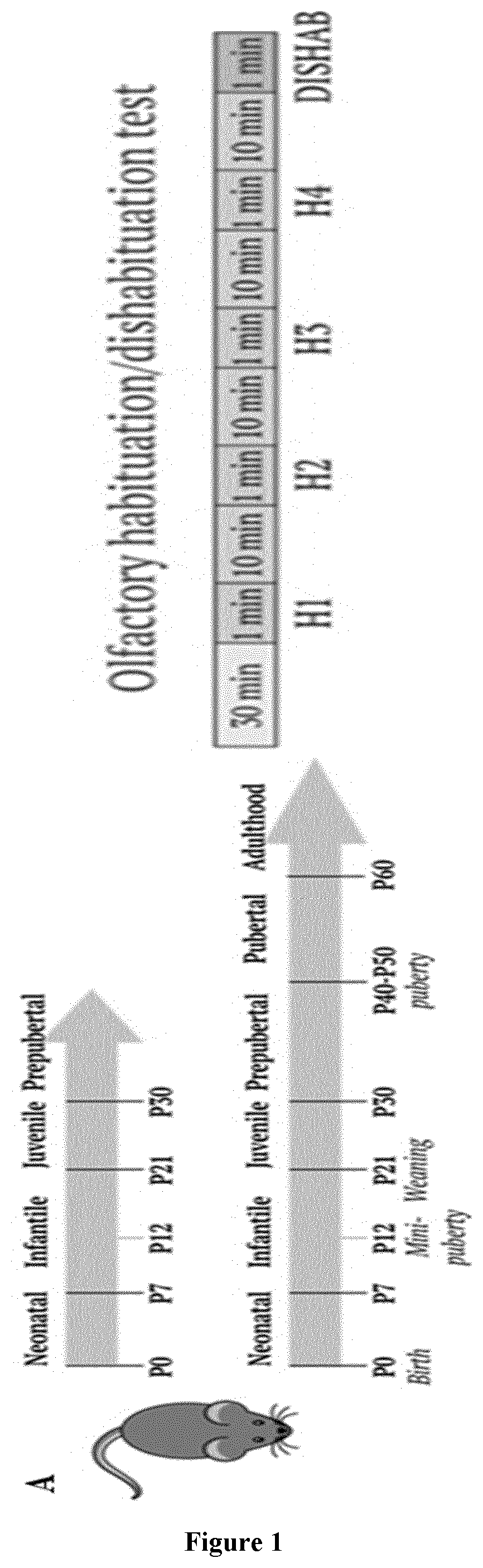 Pulsative gnrh administration for treating cognitive disorders