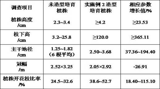 A kind of single stem arborization wintersweet modeling cultivation method