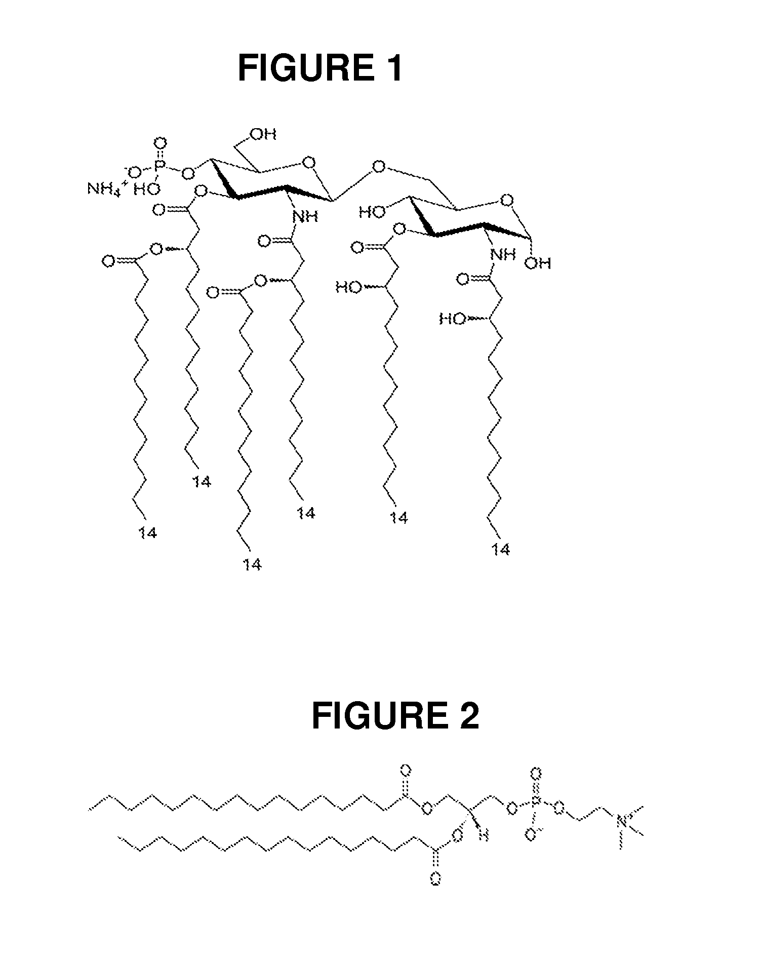 Compositions of vaccines and adjuvants and methods for the treatment of urinary tract infections