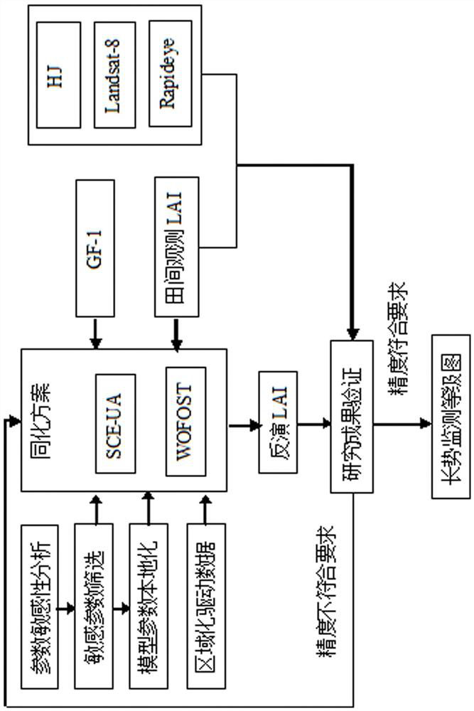 Remote sensing monitoring method of crop growth based on crop model and assimilation technology