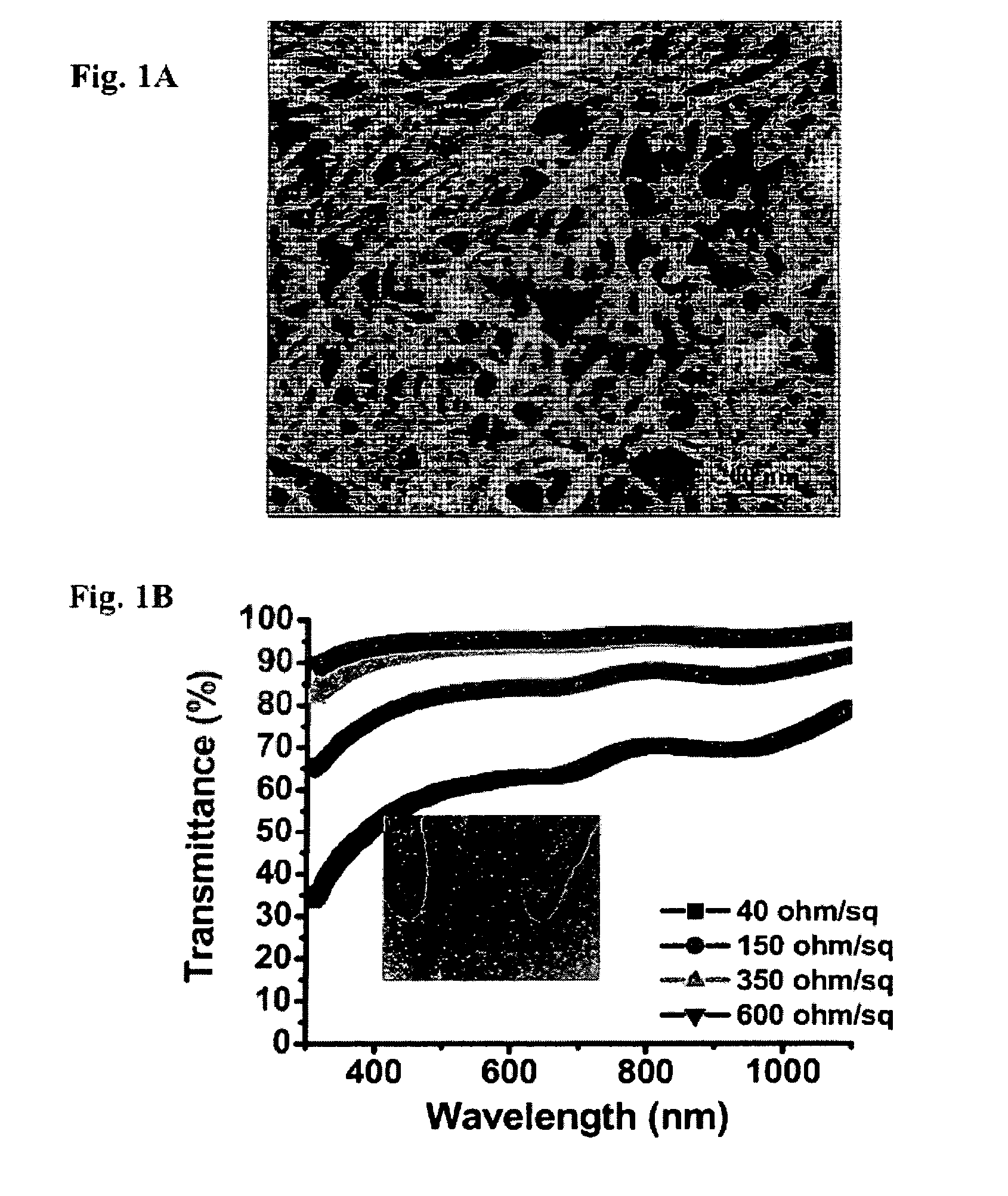 Organic light-emitting diodes with nanostructure film electrode(s)