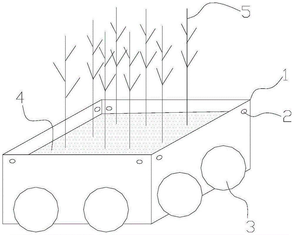 A kind of ecological floating bed and method for purifying water body