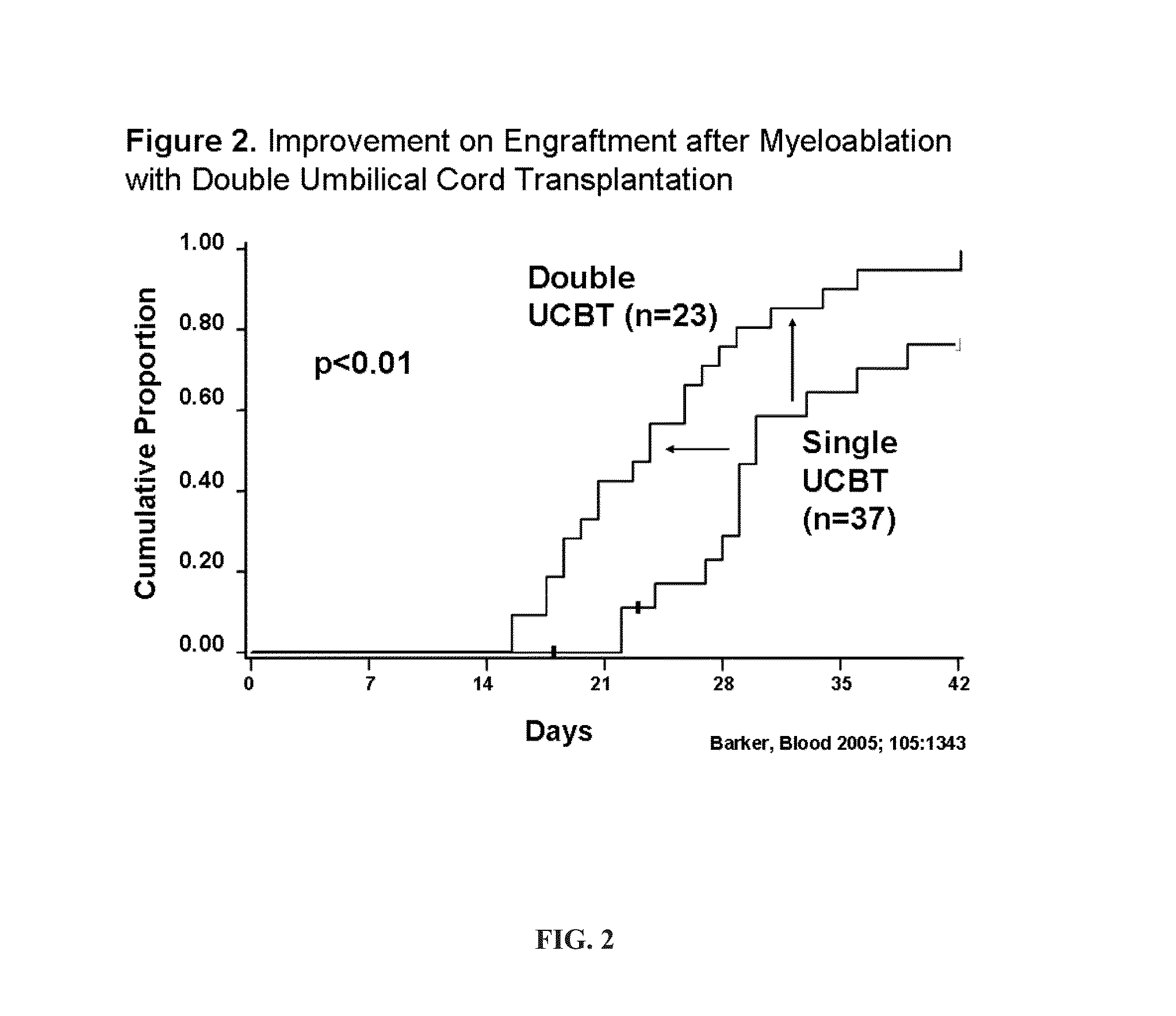 Compositions and methods for CXCR4 signaling and umbilical cord blood stem cell engraftment