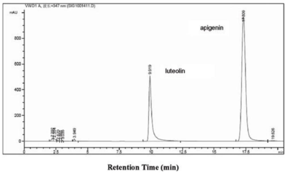 Celery seed extract as well as preparation method and application thereof