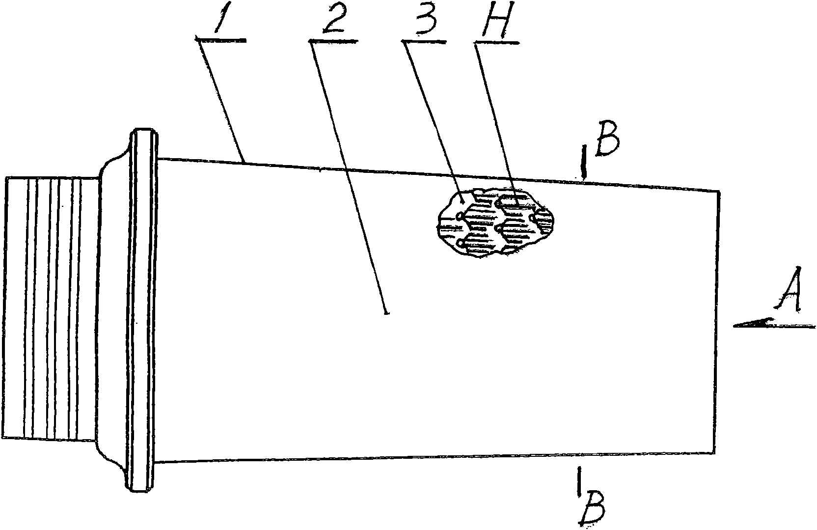 Clustered shunt type thermal protection for turbine rotor blade of aeroengine