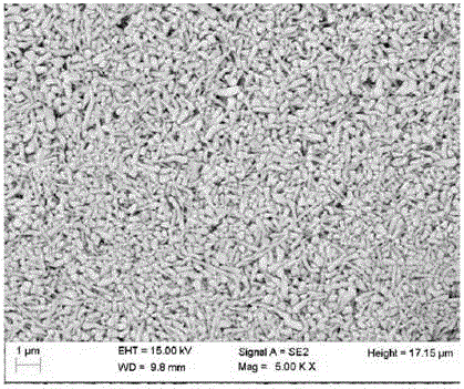 A kind of aginse2 nano crystal and preparation method thereof