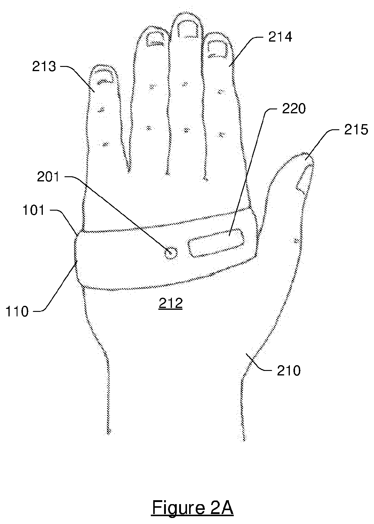 Systems and methods for formulating a performance metric of a motion of a swimmer