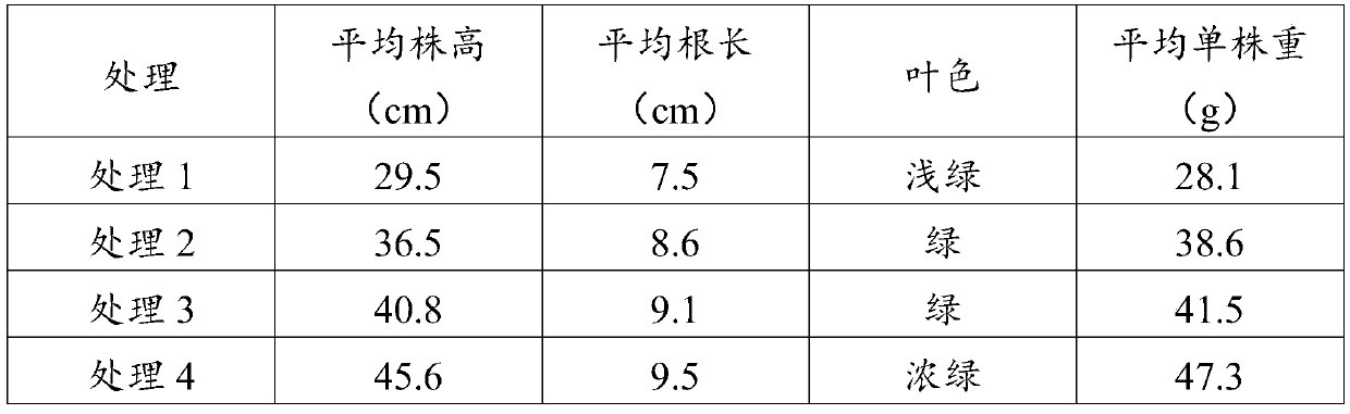 Composite microbial granular preparation as well as preparation method and application thereof